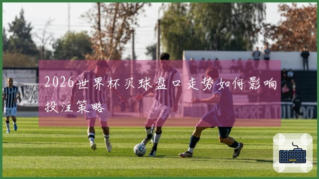 2026世界杯买球盘口走势如何影响投注策略