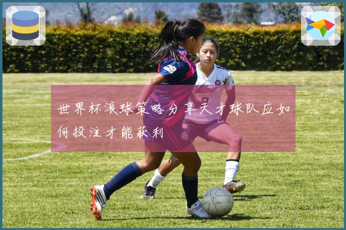 世界杯滚球策略分享天才球队应如何投注才能获利