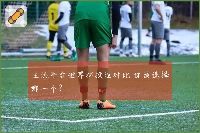 主流平台世界杯投注对比 你该选择哪一个？