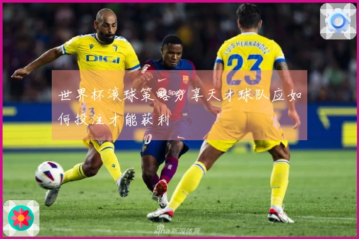 世界杯滚球策略分享天才球队应如何投注才能获利